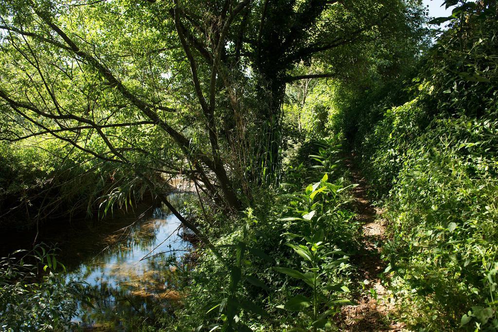 Recanto Da Ribeira Casas De Campo Monchique Luaran gambar